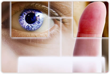 vision vision